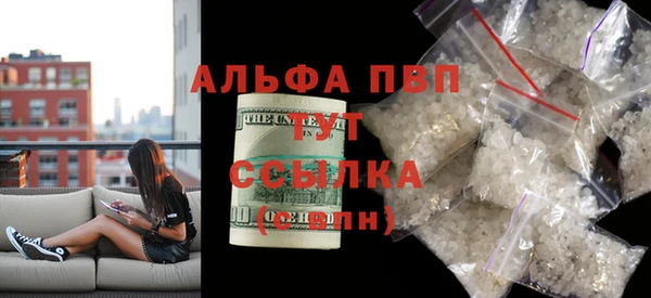 сатива Абаза