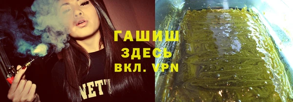 сатива Абаза